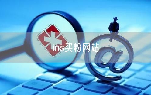 ins买粉网站
