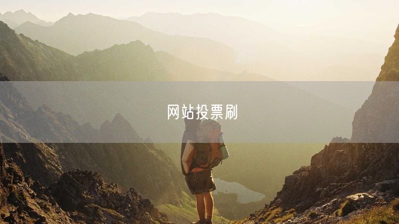 网站投票刷