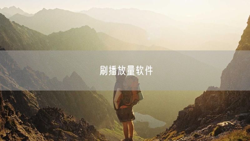 刷播放量软件
