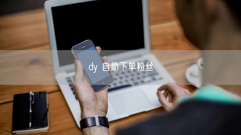 dy 自助下单粉丝