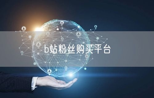 b站粉丝购买平台