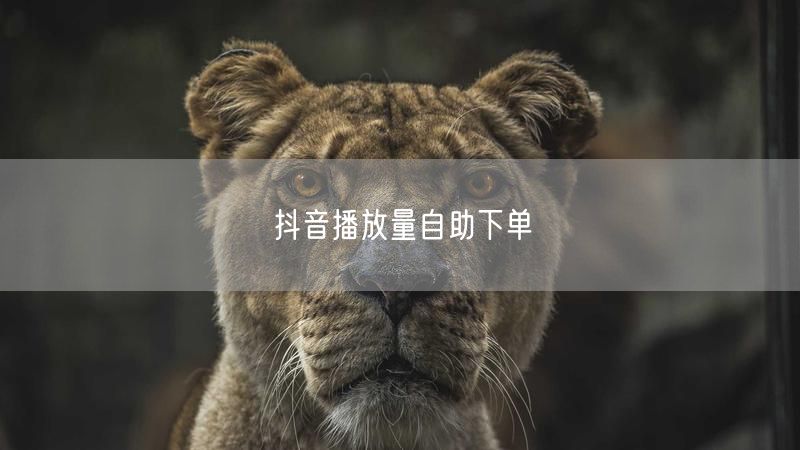抖音播放量自助下单