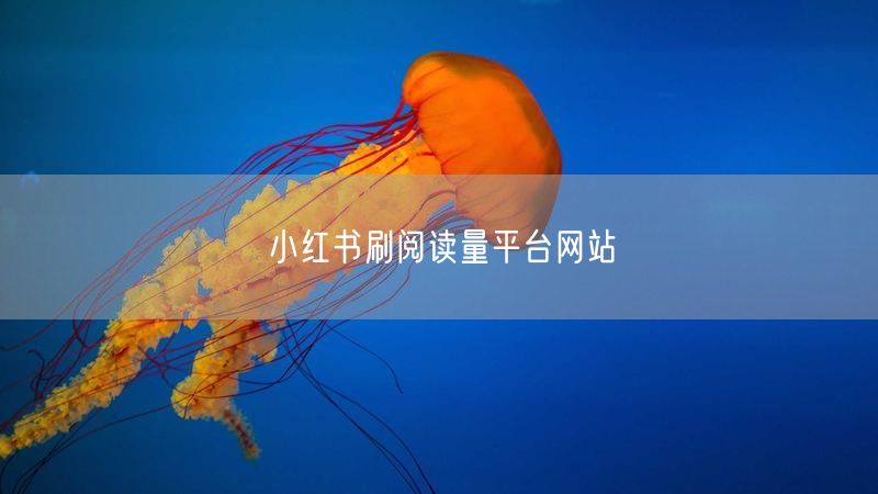 小红书刷阅读量平台网站