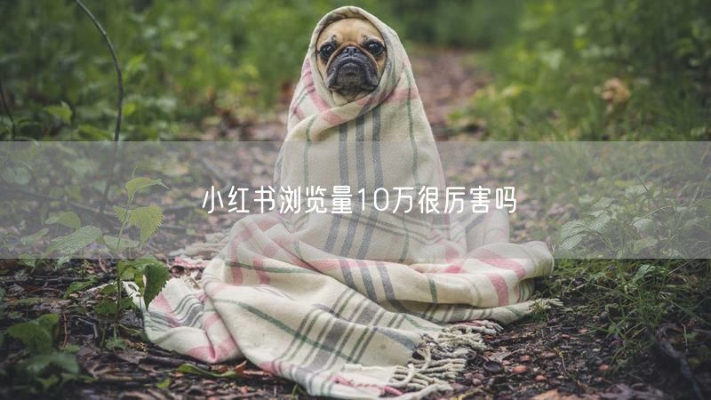小红书浏览量10万很厉害吗