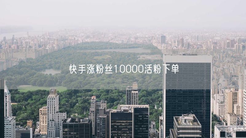 快手涨粉丝10000活粉下单