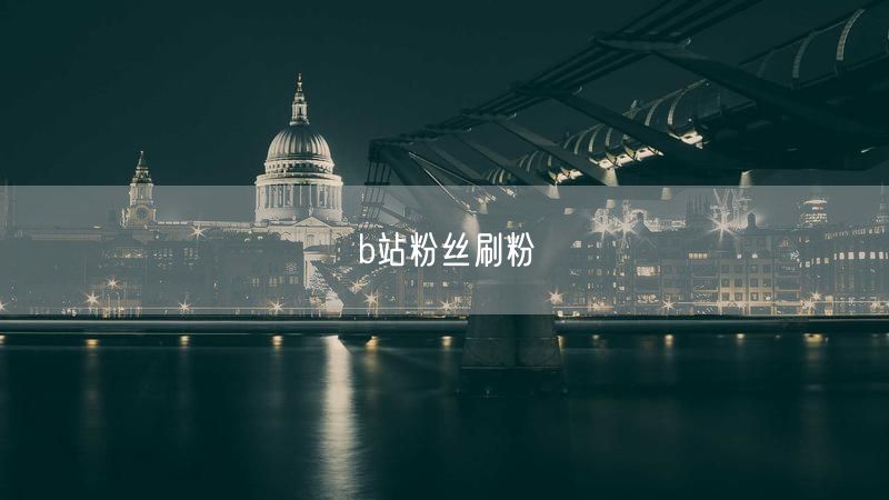 b站粉丝刷粉