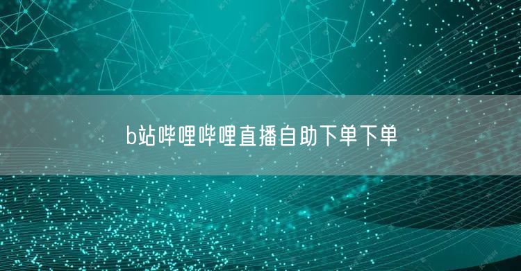 b站哔哩哔哩直播自助下单下单