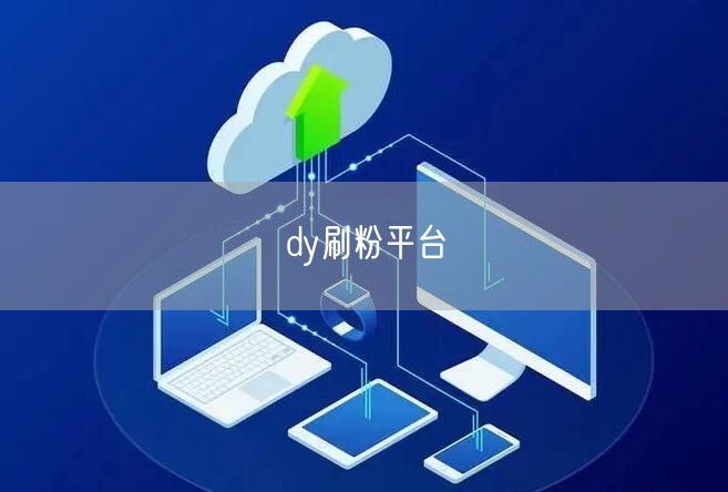 dy刷粉平台