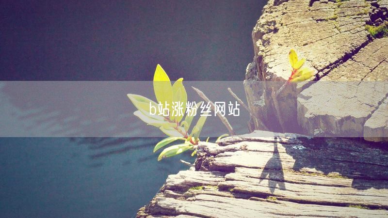 b站涨粉丝网站