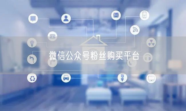 微信公众号粉丝购买平台
