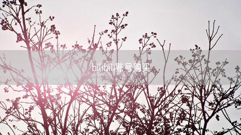 bilibili账号购买