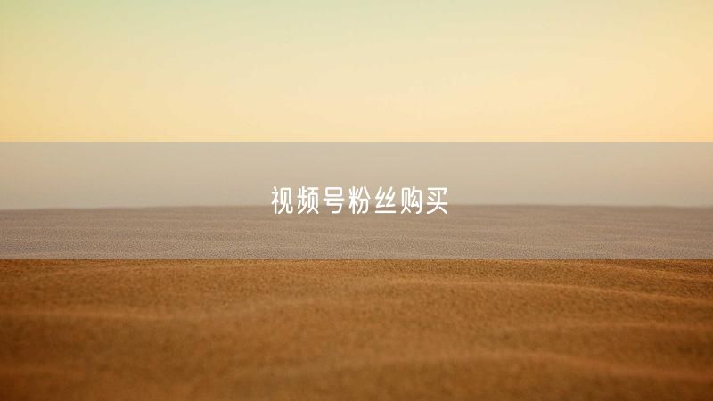 视频号粉丝购买