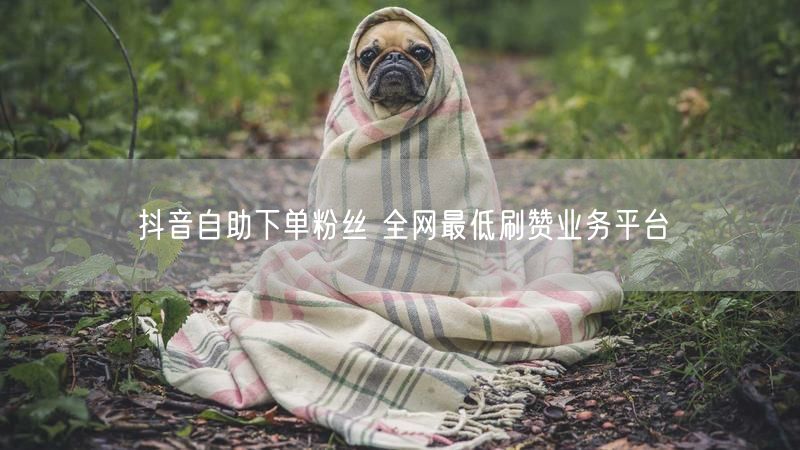 抖音自助下单粉丝 全网最低刷赞业务平台