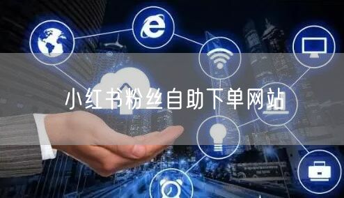 小红书粉丝自助下单网站