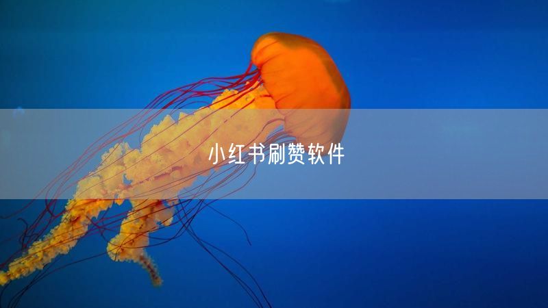 小红书刷赞软件