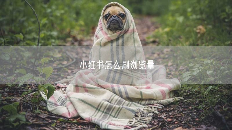 小红书怎么刷浏览量