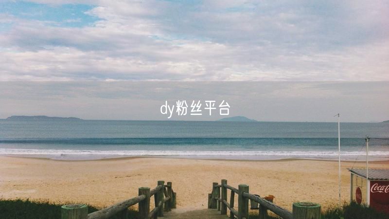 dy粉丝平台