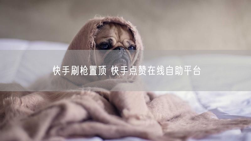 快手刷枪置顶 快手点赞在线自助平台
