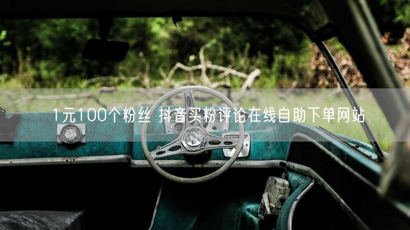 1元100个粉丝 抖音买粉评论在线自助下单网站