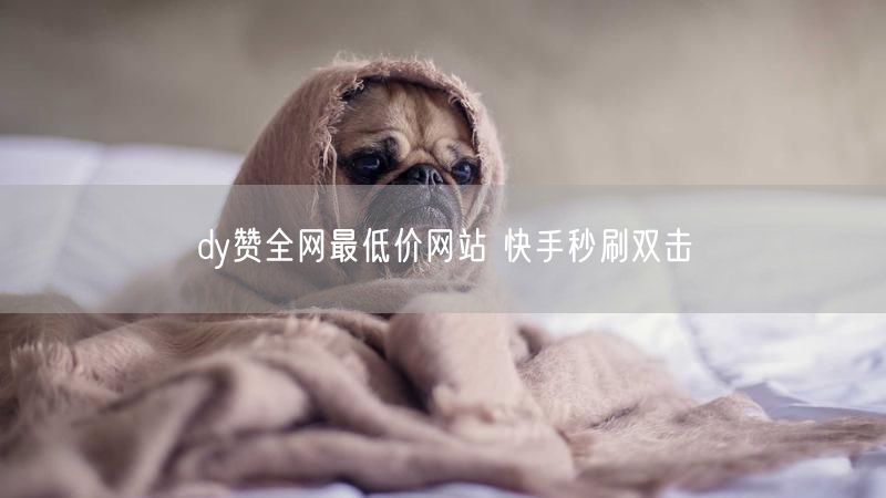 dy赞全网最低价网站 快手秒刷双击