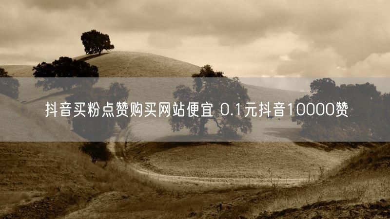 抖音买粉点赞购买网站便宜 0.1元抖音10000赞
