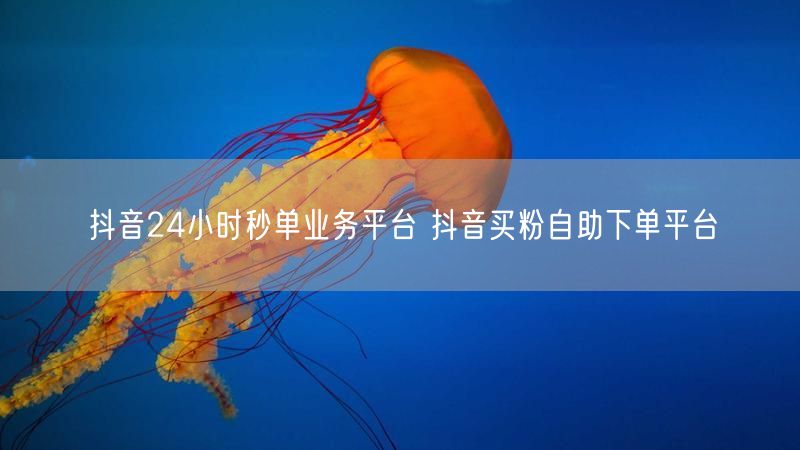 抖音24小时秒单业务平台 抖音买粉自助下单平台