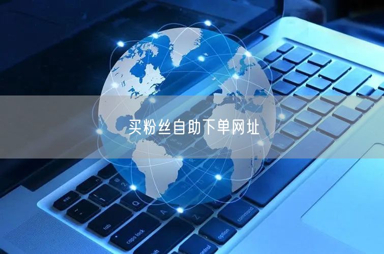买粉丝自助下单网址