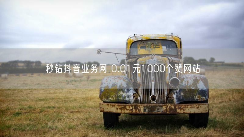 秒钻抖音业务网 0.01元1000个赞网站