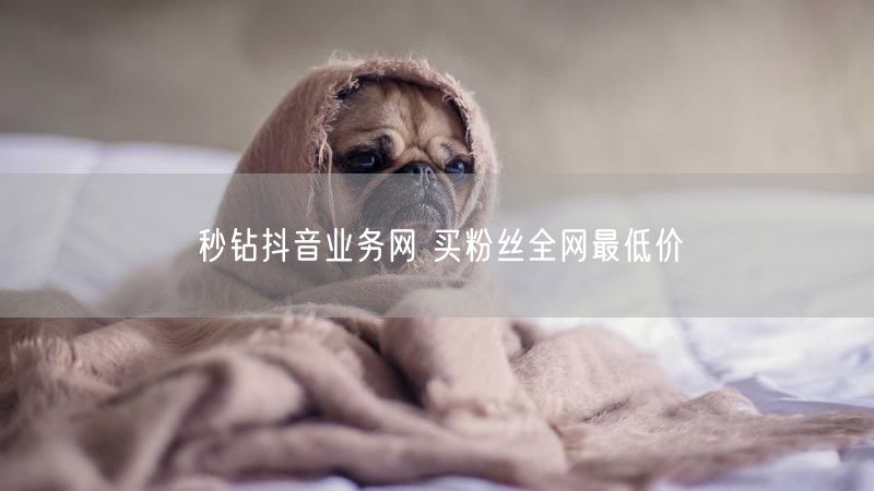 秒钻抖音业务网 买粉丝全网最低价