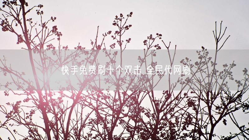 快手免费刷十个双击 全民代网刷