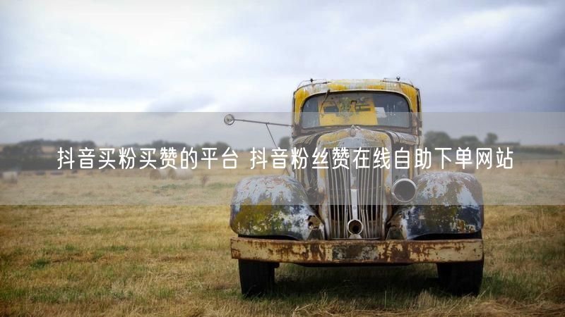 抖音买粉买赞的平台 抖音粉丝赞在线自助下单网站