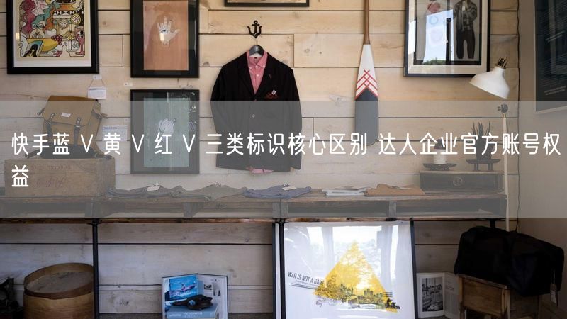 快手蓝 V 黄 V 红 V 三类标识核心区别 达人企业官方账号权益