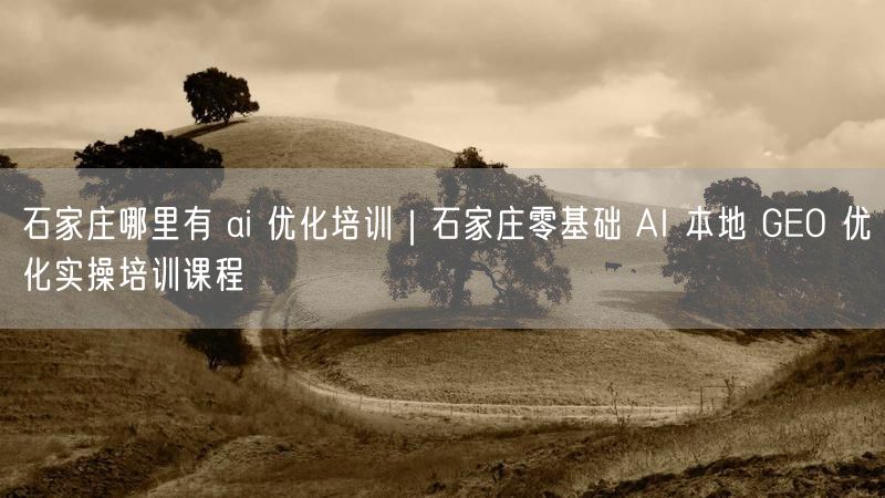 石家庄哪里有 ai 优化培训｜石家庄零基础 AI 本地 GEO 优化实操培训课程