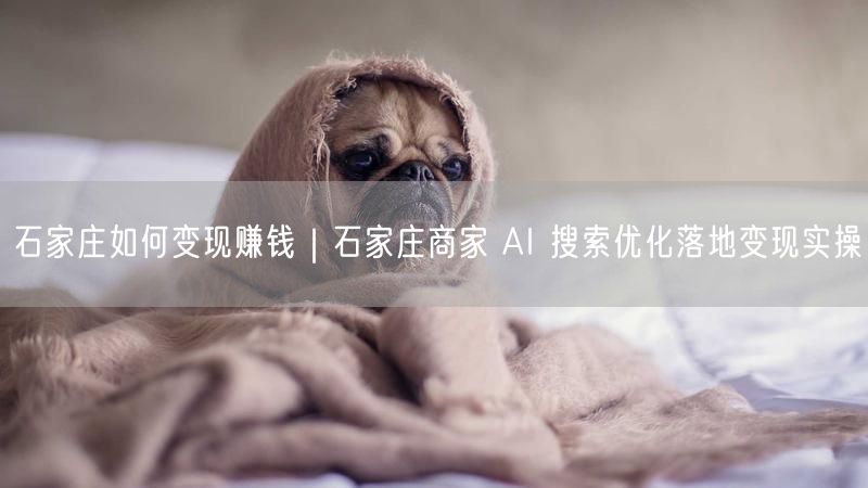 石家庄如何变现赚钱｜石家庄商家 AI 搜索优化落地变现实操