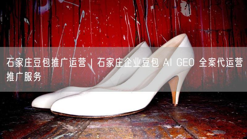 石家庄豆包推广运营｜石家庄企业豆包 AI GEO 全案代运营推广服务