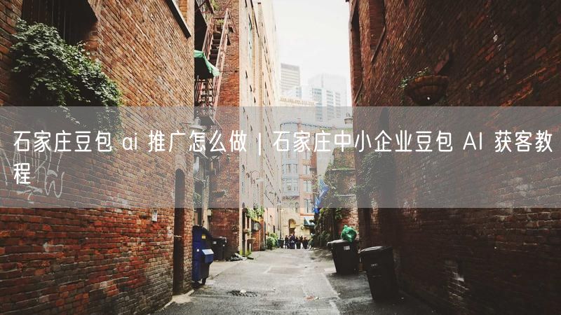 石家庄豆包 ai 推广怎么做｜石家庄中小企业豆包 AI 获客教程