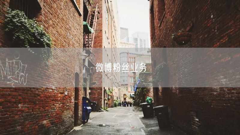 微博粉丝业务