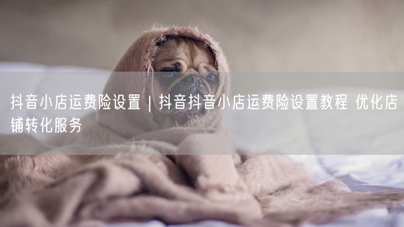 抖音小店运费险设置｜抖音抖音小店运费险设置教程 优化店铺转化服务