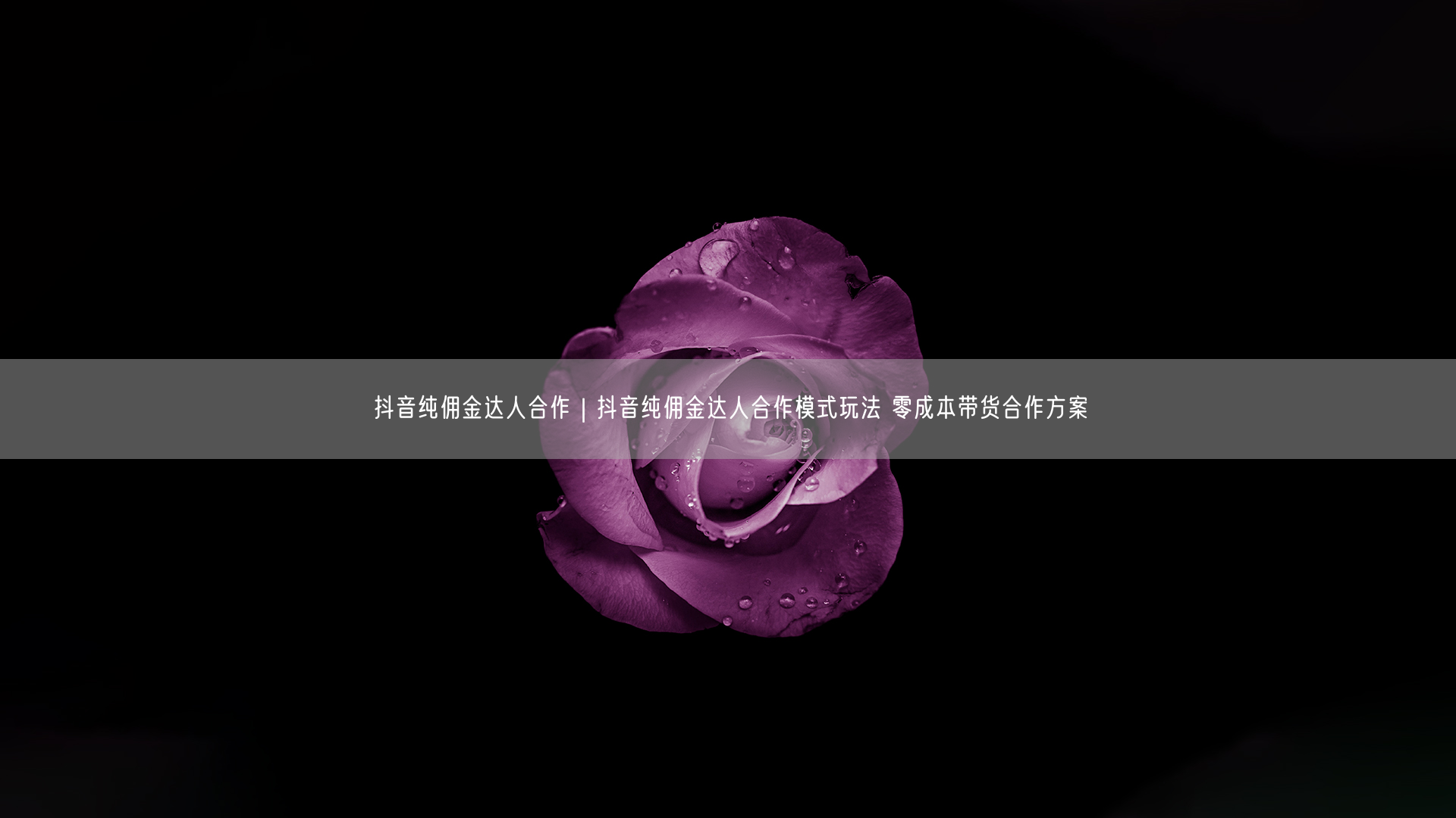 抖音纯佣金达人合作｜抖音纯佣金达人合作模式玩法 零成本带货合作方案