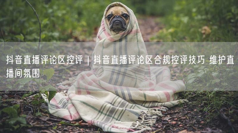 抖音直播控评全攻略：评论区合规管理，维护氛围技巧