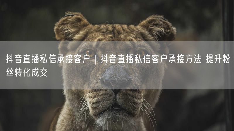 抖音直播私信承接秘籍：高效方法提升粉丝转化成交