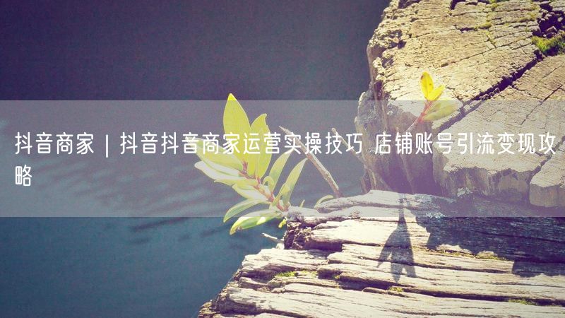 抖音商家｜抖音抖音商家运营实操技巧 店铺账号引流变现攻略