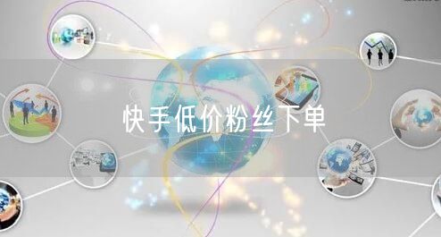快手低价粉丝下单