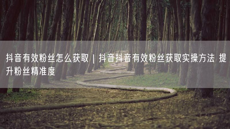 抖音有效粉丝怎么获取｜抖音抖音有效粉丝获取实操方法 提升粉丝精准度