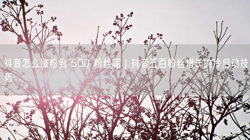 抖音怎么涨粉到 500 粉丝呢｜抖音五百粉丝增长的冷启动技巧