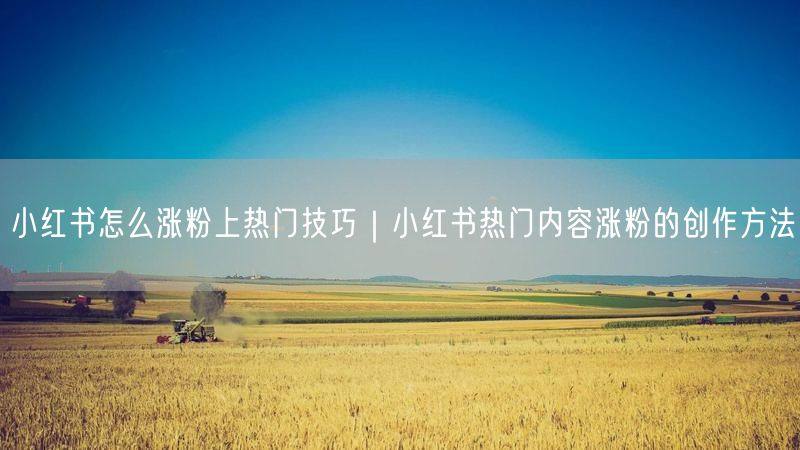 小红书怎么涨粉上热门技巧｜小红书热门内容涨粉的创作方法
