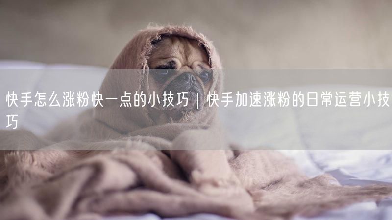 快手怎么涨粉快一点的小技巧｜快手加速涨粉的日常运营小技巧
